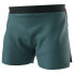 Фото #1 товара DYNAFIT Sky Shorts