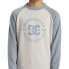 Фото #7 товара DC Shoes Strpltrglncwb sweatshirt