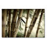 Фото #2 товара Leinwandbild Bamboo Forest