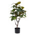 Фото #1 товара Декоративное растение 67 x 62 x 100 cm Зеленый Резиновый PVC