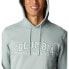 Columbia Csc Basic Logo II Hoodie