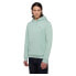 DICKIES Oakport hoodie