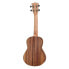 Kala KA-TEAK-C Concert Ukulele