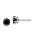 ფოტო #1 პროდუქტის Stainless Steel Polished Black Round CZ Stud Earrings