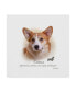 Howard Robinson 'Corgi' Canvas Art - 18" x 18"