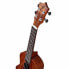 Harley Benton Hawaii Koa Concert Ukulele