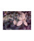 Фото #1 товара Judy Stalus Purple Hydrangea Canvas Art - 15" x 20"