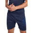 Фото #1 товара UMBRO Pro Training Active Poly Shorts