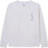 Фото #1 товара PEPE JEANS Twain Sweatshirt