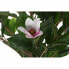 Фото #4 товара Декоративное растение DKD Home Decor Розовый Зеленый PE (60 x 60 x 125 cm)
