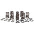 Фото #1 товара KIBBLEWHITE 20-21000 Valve Springs&Washers