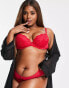 Фото #8 товара Ann Summers Curve Sexy Lace Planet nylon blend padded plunge bra in red - RED