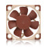 Noctua NF A4x10 PWM - Fan - 4 cm - 1000 RPM - 5000 RPM - 19.6 dB - 8.9 m³/h