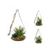 Фото #1 товара Декоративное растение Atmosphera 10 x 19,5 cm Стеклянный Зеленый