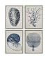 Фото #1 товара Paragon Coastal Framed Wall Art Set of 4, 26" x 20"