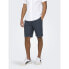 Фото #1 товара ONLY & SONS Peter Dobby 0058 chino shorts