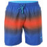 Фото #2 товара Sphere-Pro Faded Swimming Shorts