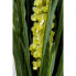 Deko Pflanze Rhynchostylis