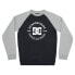 DC SHOES Strpltrglncwb sweatshirt