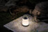 Фото #8 товара PAULMANN 942.10 - Outdoor hand lighting - Grey - Plastic - IP44 - Camping - Garage - Garden - Pathway - Patio - Street - III