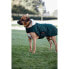 ფოტო #4 პროდუქტის KENTUCKY Original Dog Coat