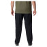 Фото #2 товара COLUMBIA Silver Ridge™ Utility 2012963 convertible pants