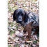 Фото #4 товара Защитный жилет ASD Boater´s Max-5 для собак