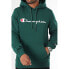 Фото #1 товара Champion Hooded M 220253 GS502 sweatshirt