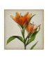 Фото #1 товара Judy Stalus Parchment Flowers X Canvas Art - 20" x 25"