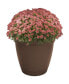 HC Companies Eclipse Round Plastic Flower Planter Chocolate 6"