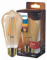 Фото #4 товара Лампа LED Philips ST64 3,1 Вт, Золотистый - EyeComfort