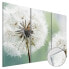 Acrylglasbild Fluffy Dandelions