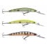 DAIWA Tournament Double Clutch Suspending minnow 3.6g 60 mm