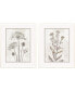 Фото #1 товара Картина, Парагон Пикчер Галери, Набор из 2 шт. "Сушеные цветы II"