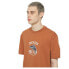 ფოტო #6 პროდუქტის DICKIES Dumfries short sleeve T-shirt