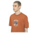 Фото #6 товара DICKIES Dumfries short sleeve T-shirt