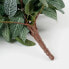 Фото #7 товара Kunstliche Hängepflanze Fittonia