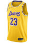 Men's LeBron James Los Angeles Lakers Icon Swingman Jersey