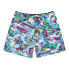 Фото #3 товара Element Chillin Hybrid shorts