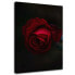 Wandbild Rote Rose Blume Natur