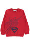 Фото #2 товара Толстовка Superman Heroic Red 1013 Yrs