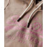 Фото #6 товара SUPERDRY Metallic Vl Graphic hoodie