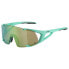 Фото #1 товара ALPINA SNOW Hawkeye S Q-Lite sunglasses