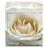 Briefkasten Stahl White Roses