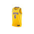 Фото #1 товара Nike Nba Los Angeles Lakers Lebron James Swingman