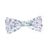 Фото #2 товара FUZZYARD Bowtie Best In Show Pet Bowtie