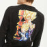 Фото #7 товара HYDROPONIC Dragon Ball Z Saiyan 3 long sleeve T-shirt