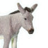 SAFARI LTD Donkey Figure