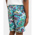 Element Chillin Hybrid shorts