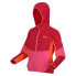 Фото #5 товара REGATTA Dissolver VIII fleece